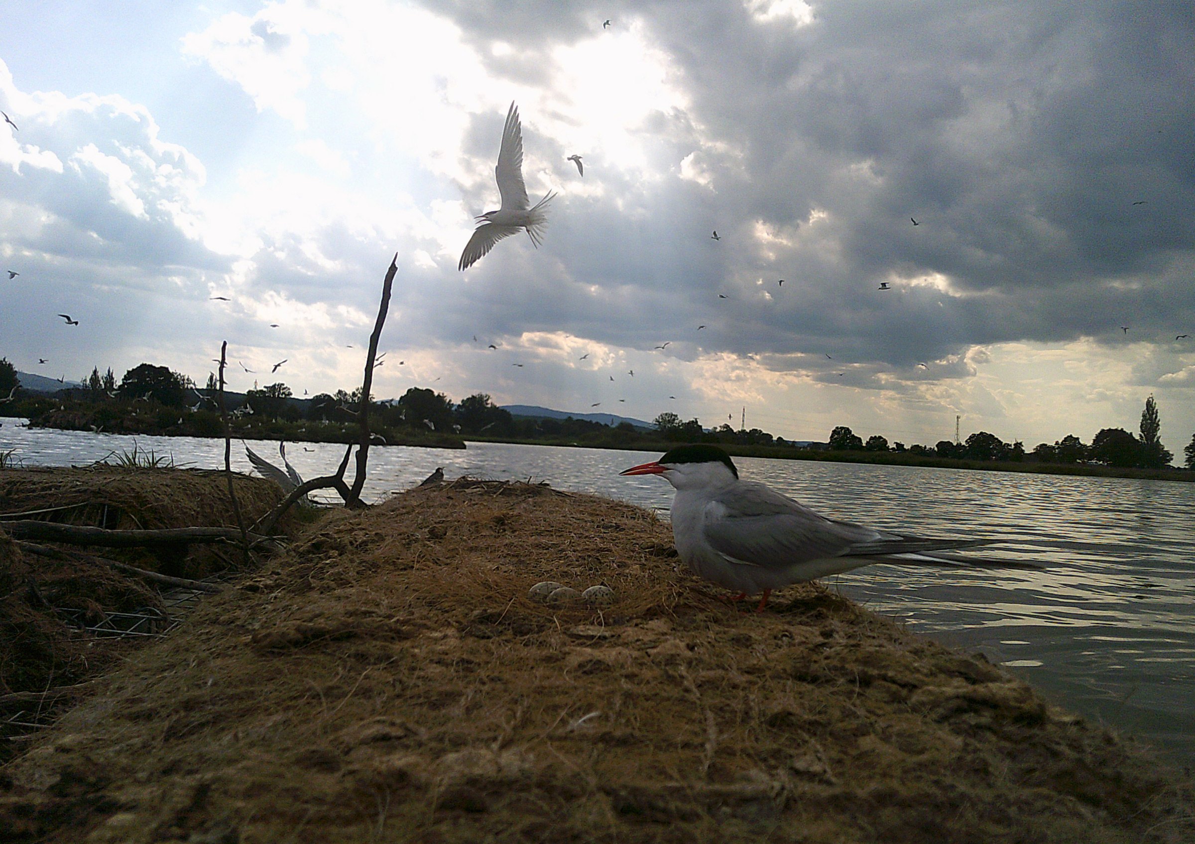 rybak_7